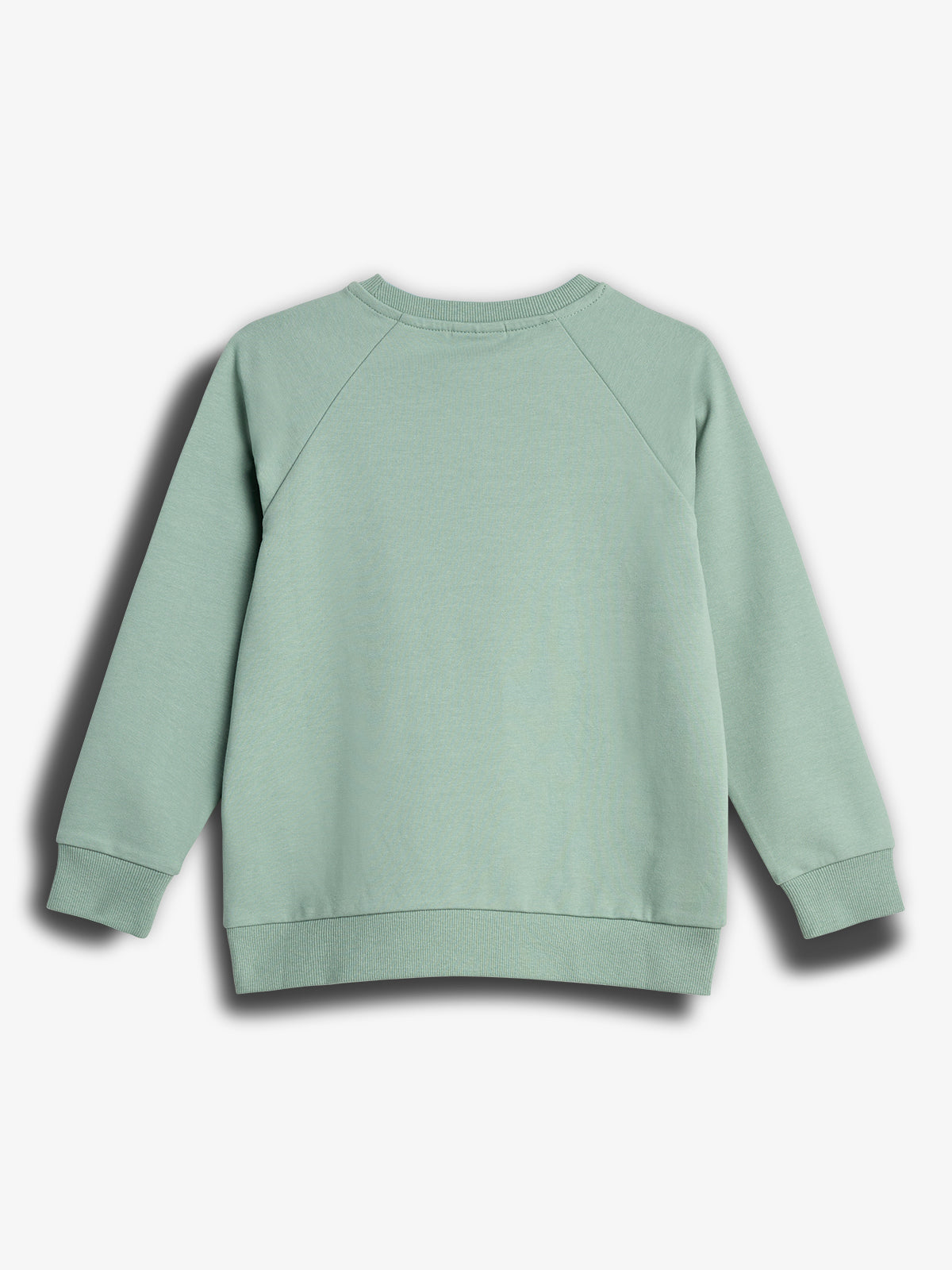 Ein mintgrüner Pullover liegt flach auf weißem Hintergrund. Der Pullover hat lange Ärmel und Rippenbündchen an Ärmeln und Saum, ohne sichtbares Logo oder Text.