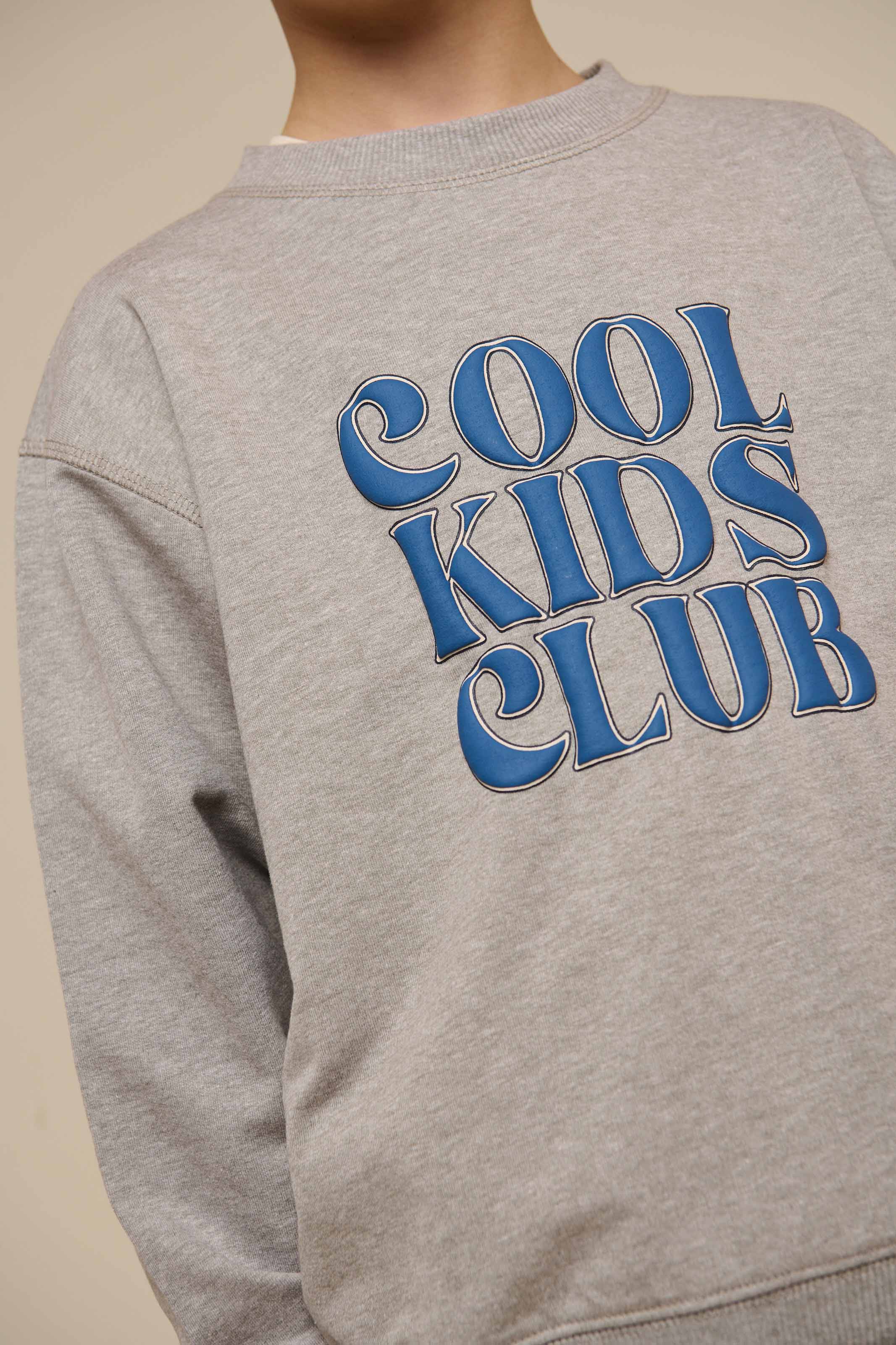 Crewneck-Sweatshirt - Tween - Grey melange | 101162 Nathan