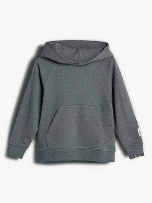A gray hoodie lies flat against a plain background, featuring a front kangaroo pocket and subtle logo on the lower left. The garment's sleeves and waistband are ribbed.