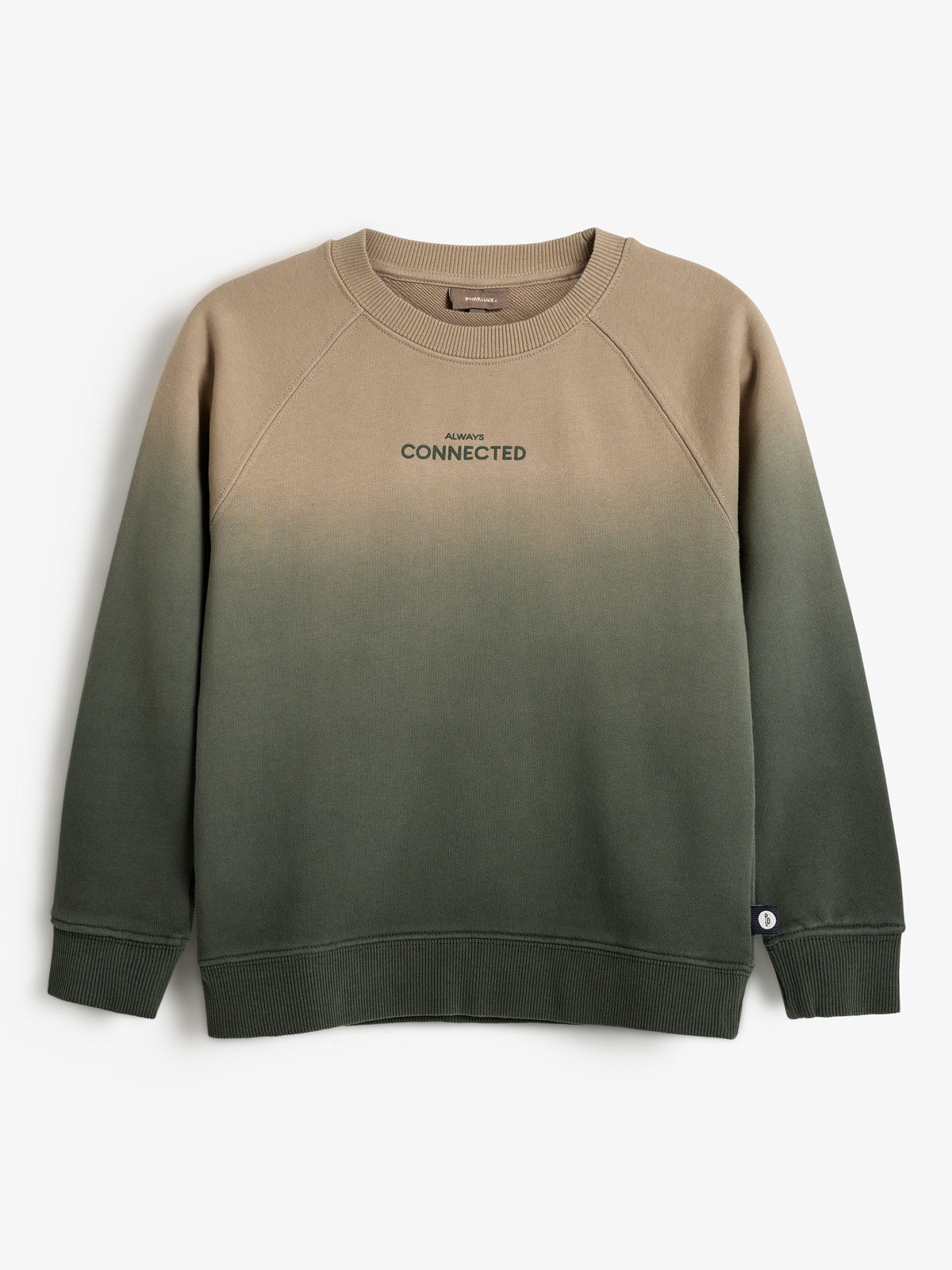 Ein Pullover mit Farbverlauf von Beige zu Dunkelgrün, zeigt den Text "ALWAYS CONNECTED" auf der Brust. Der Hintergrund ist schlicht weiß.