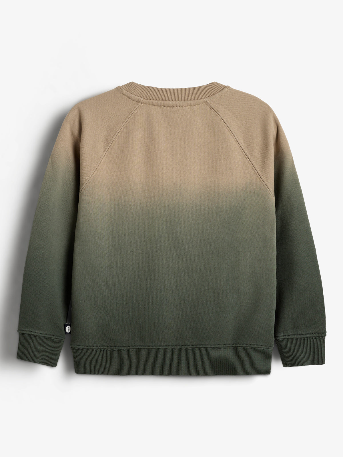 Ein Pulli mit Farbverlauf von Beige zu Dunkelgrün hängt vor einem weißen Hintergrund. Der Pullover hat Raglanärmel und elastische Bündchen.