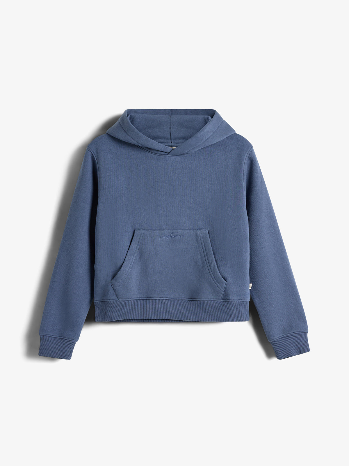 Ein blauer Kapuzenpullover hängt vor einem weißen Hintergrund. Der Pullover hat eine große Kängurutasche vorne und lange Ärmel mit Bündchen.